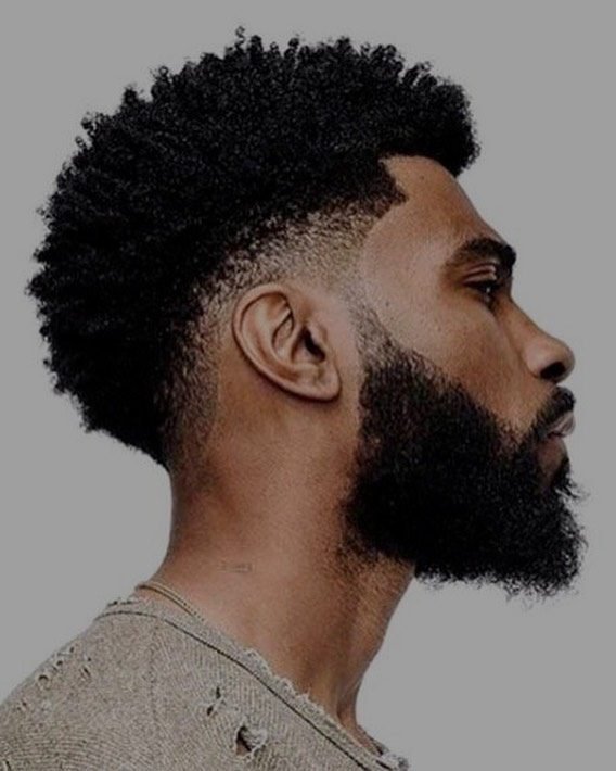 Low Taper Fade Black Male Afro